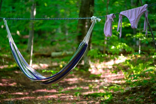 A soft linen hammock hanging between two trees on a sunny afternoon.