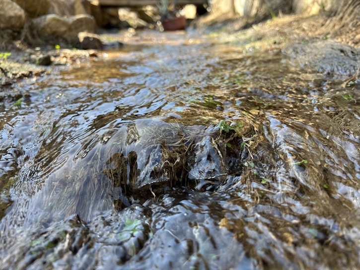 A close-up of Aquabotia robot gently navigating a freshwater stream surrounded by lush greenery.