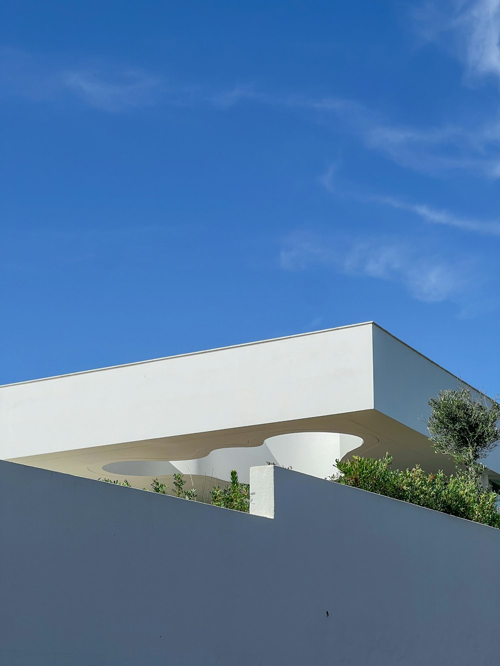 a white building with a tree on top of it