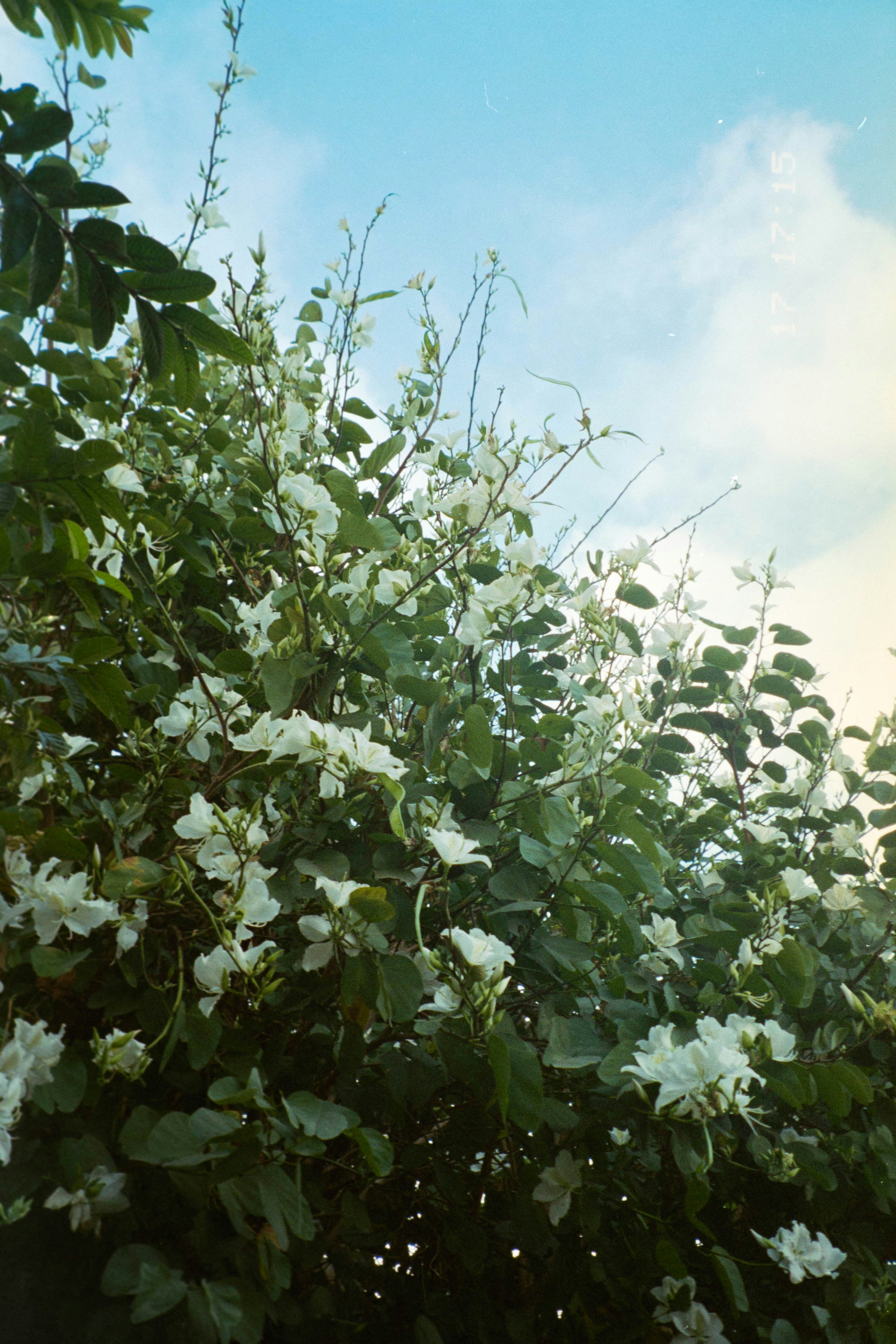 Photo by jonathecreator