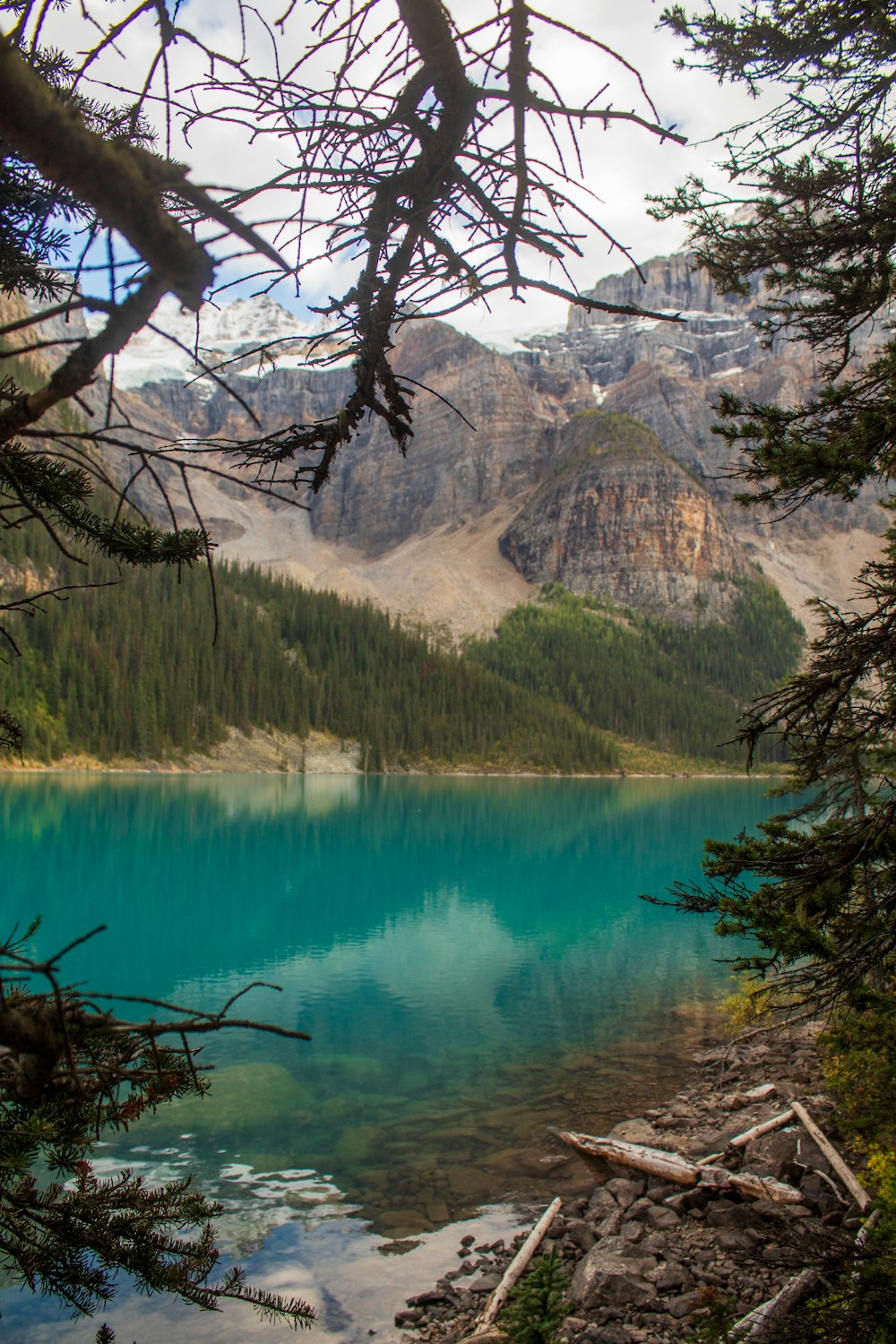 a lake surrounded by trees and mountains