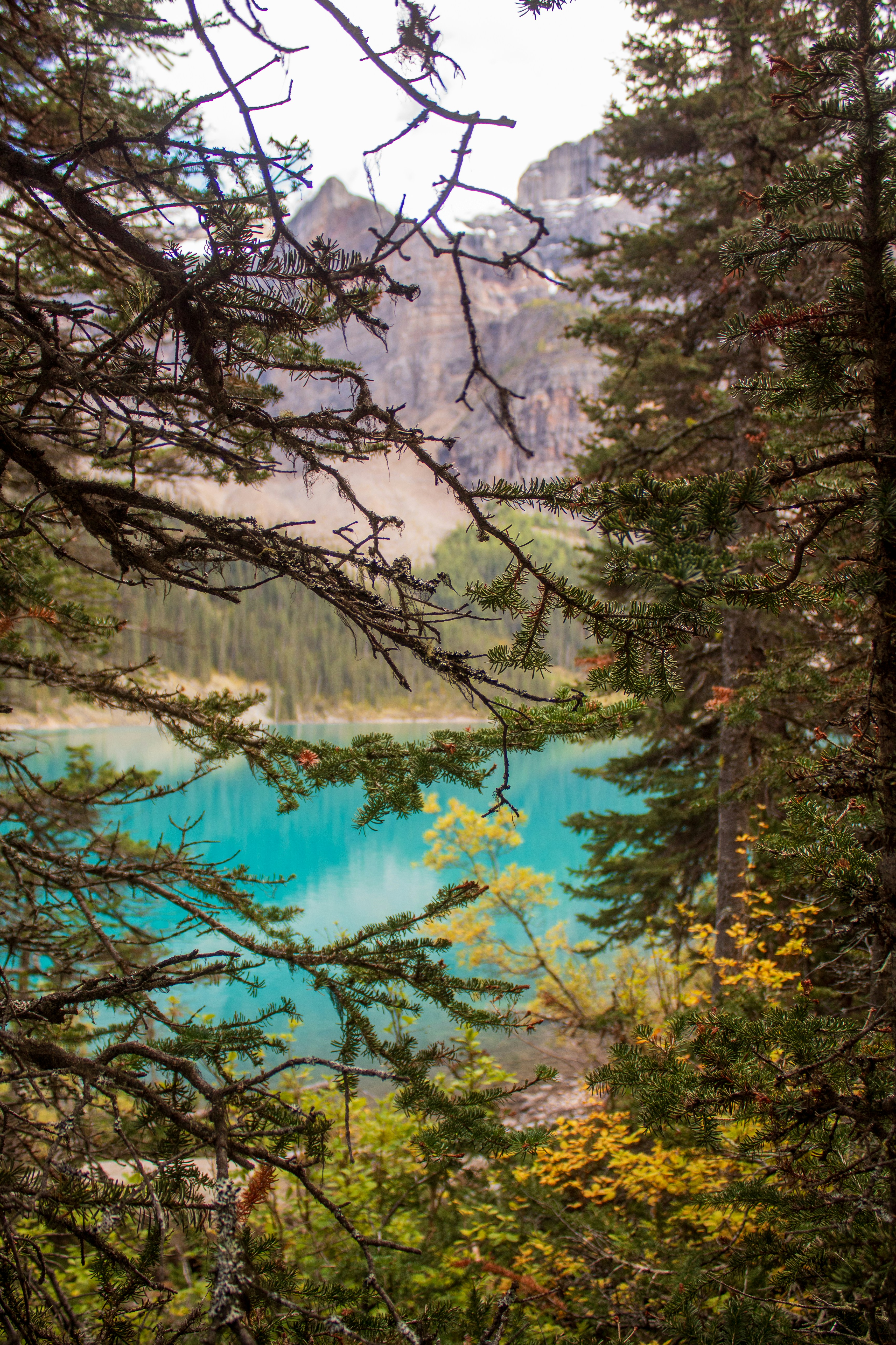 a view of a lake through some trees