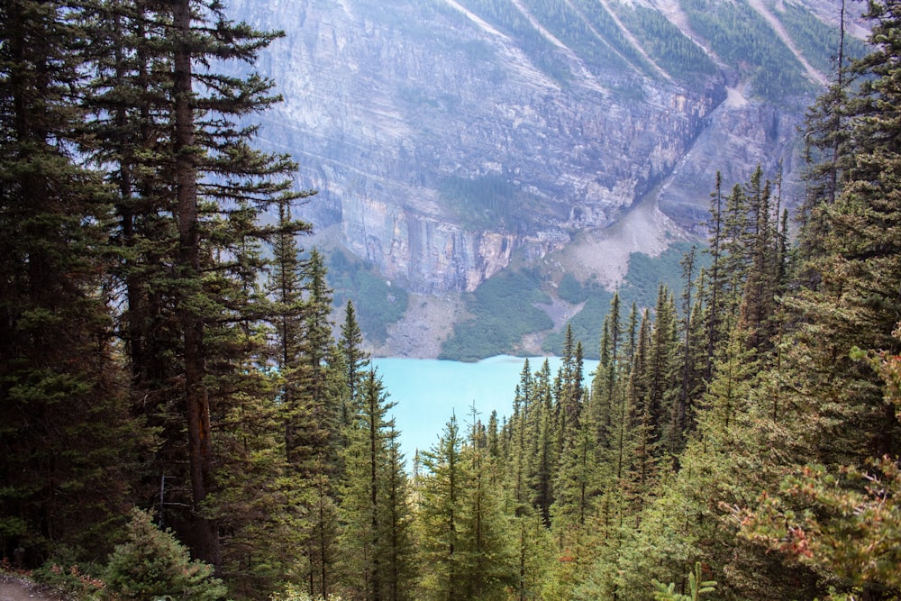 a view of a mountain lake from a trail