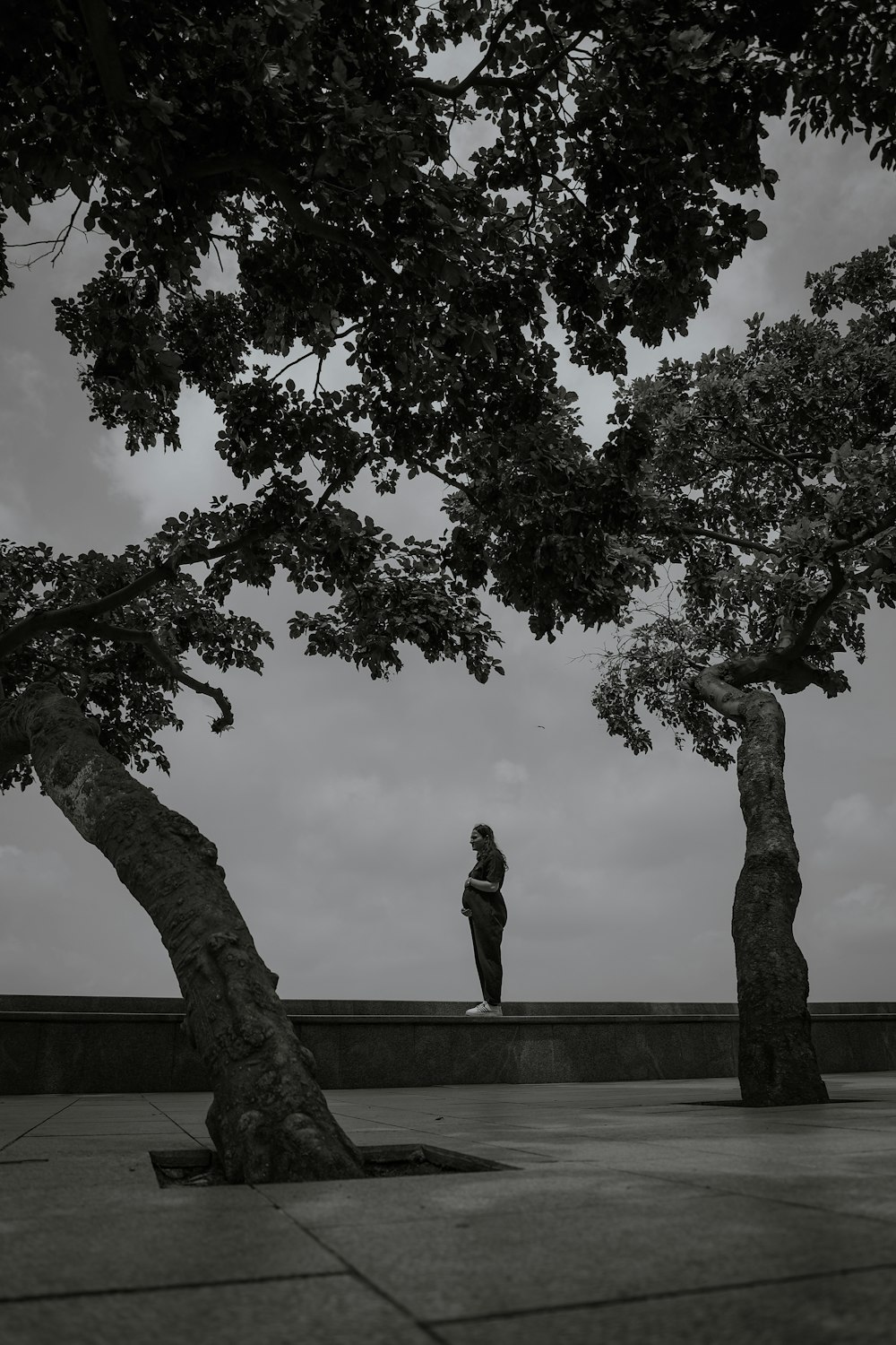 a black and white photo of a person standing under a tree