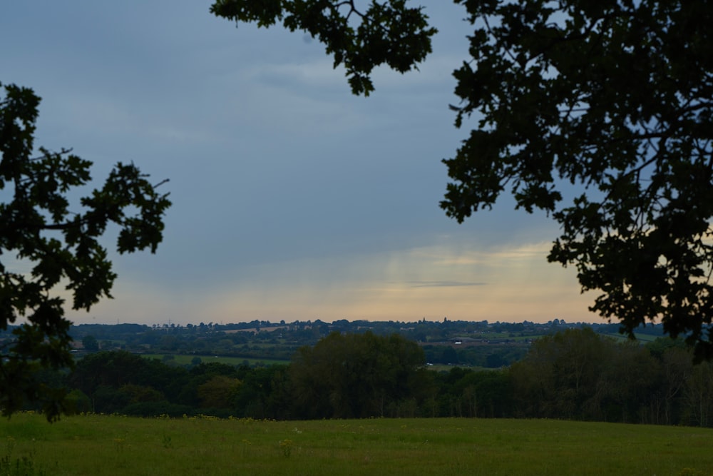 a view of a field with trees and a sky in the background