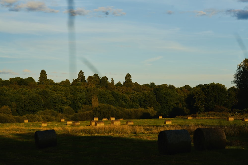 hay bales in a field with trees in the background