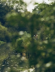 Individuals reflecting in nature, surrounded by greenery and tranquility.