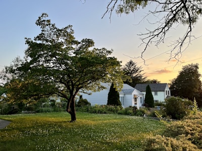 A serene residential plot bordered by lush greenery near Yamuna Expressway at sunset.