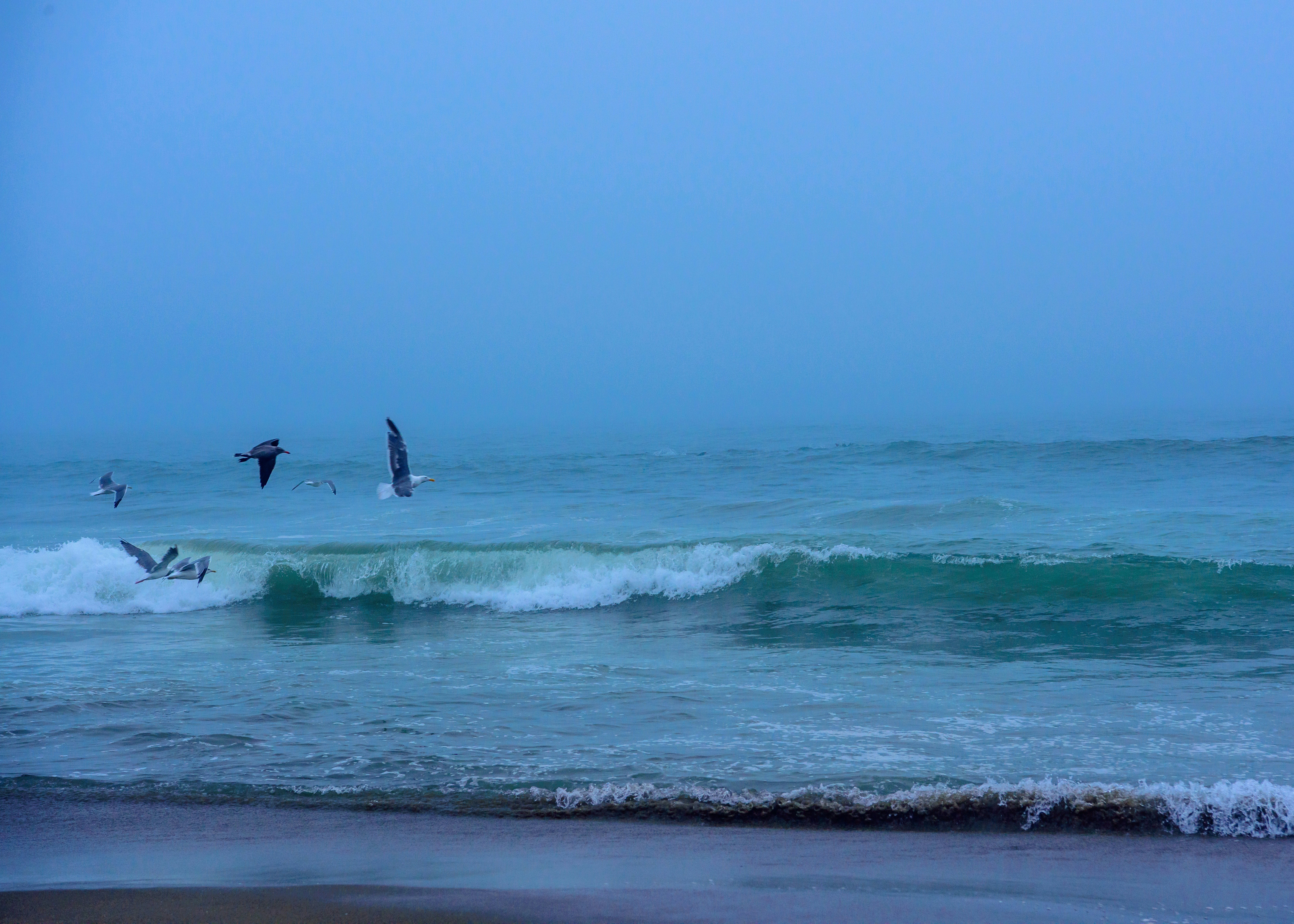 Photo by jsmith2118