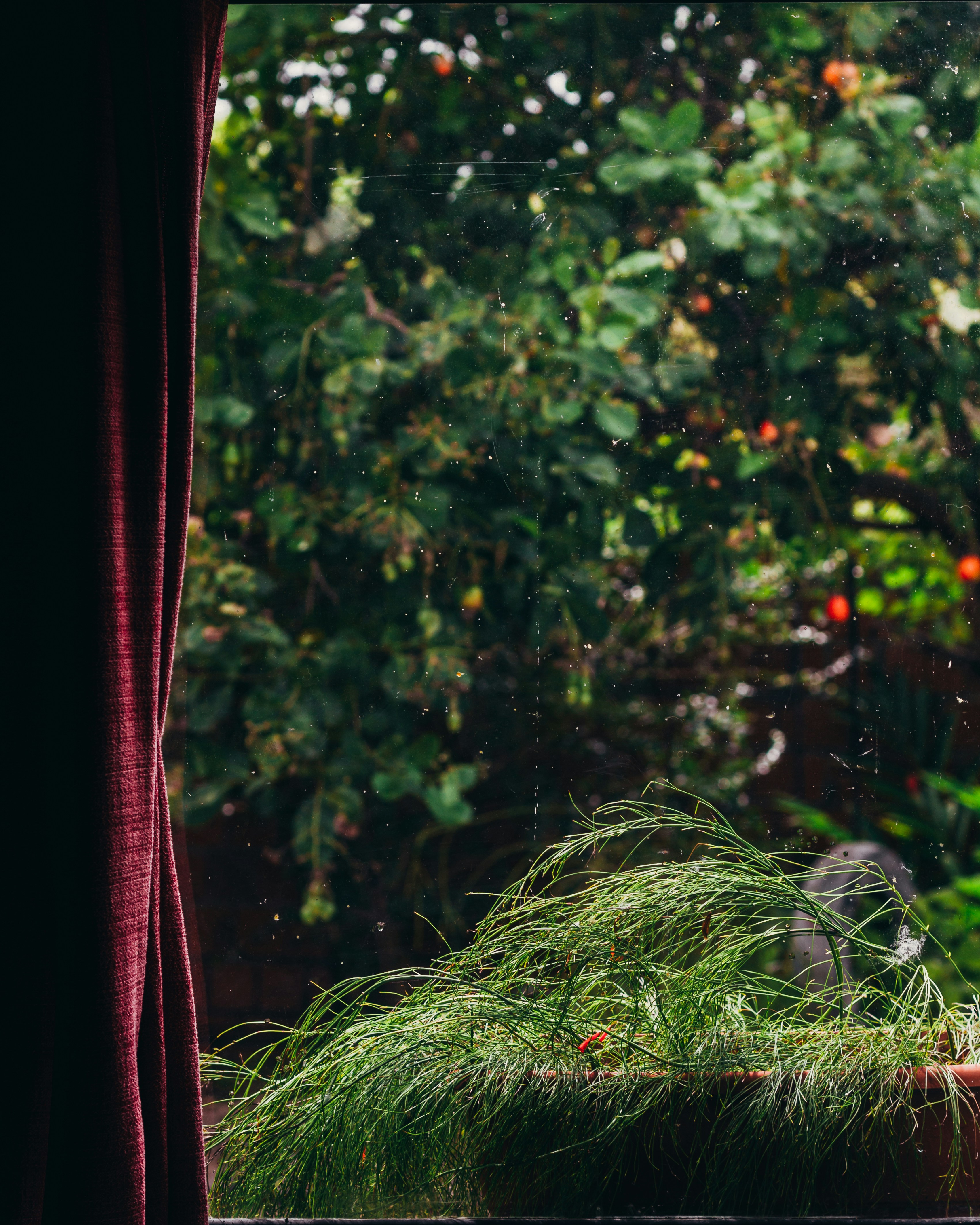 Photo by victor_cruz