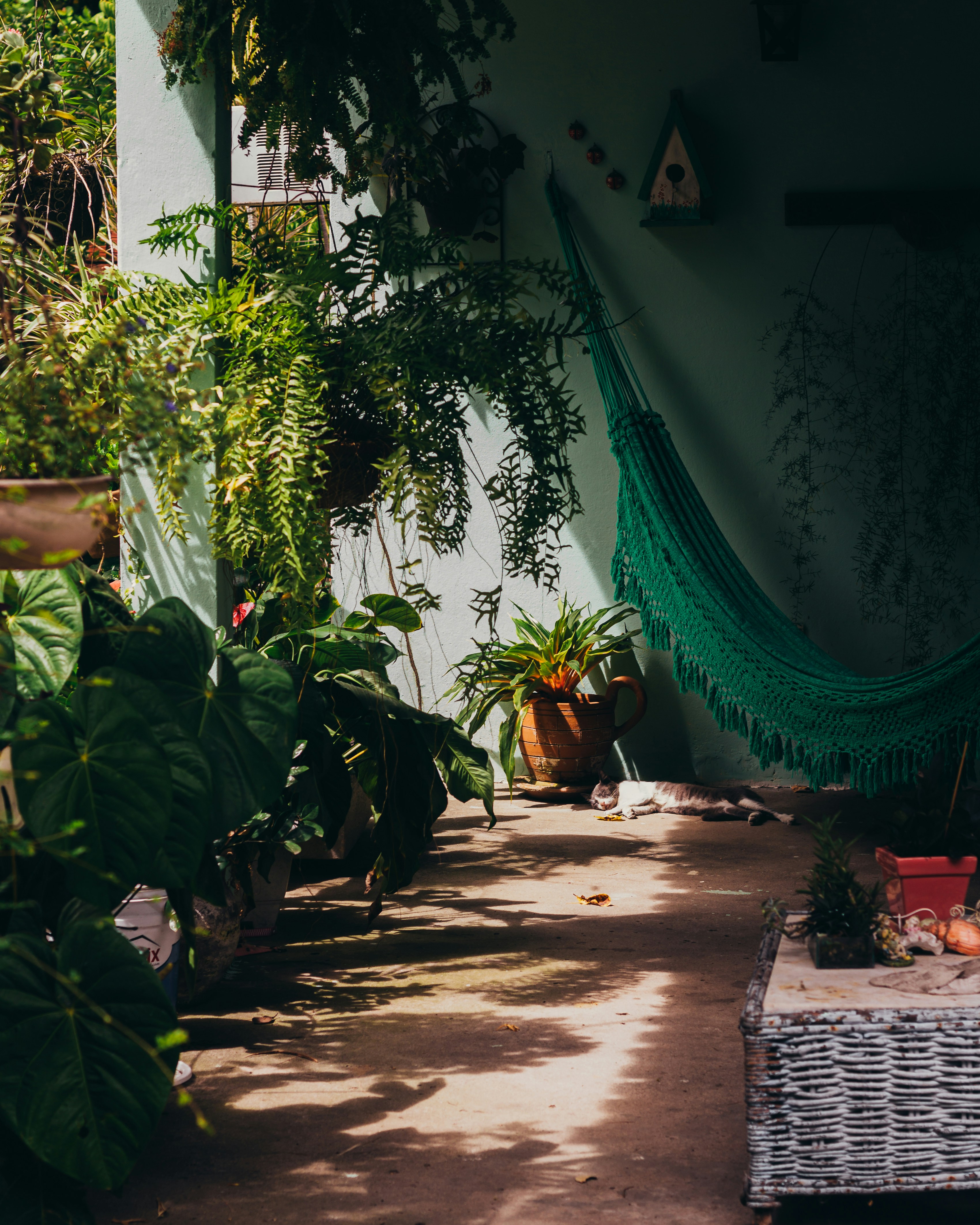 Photo by victor_cruz