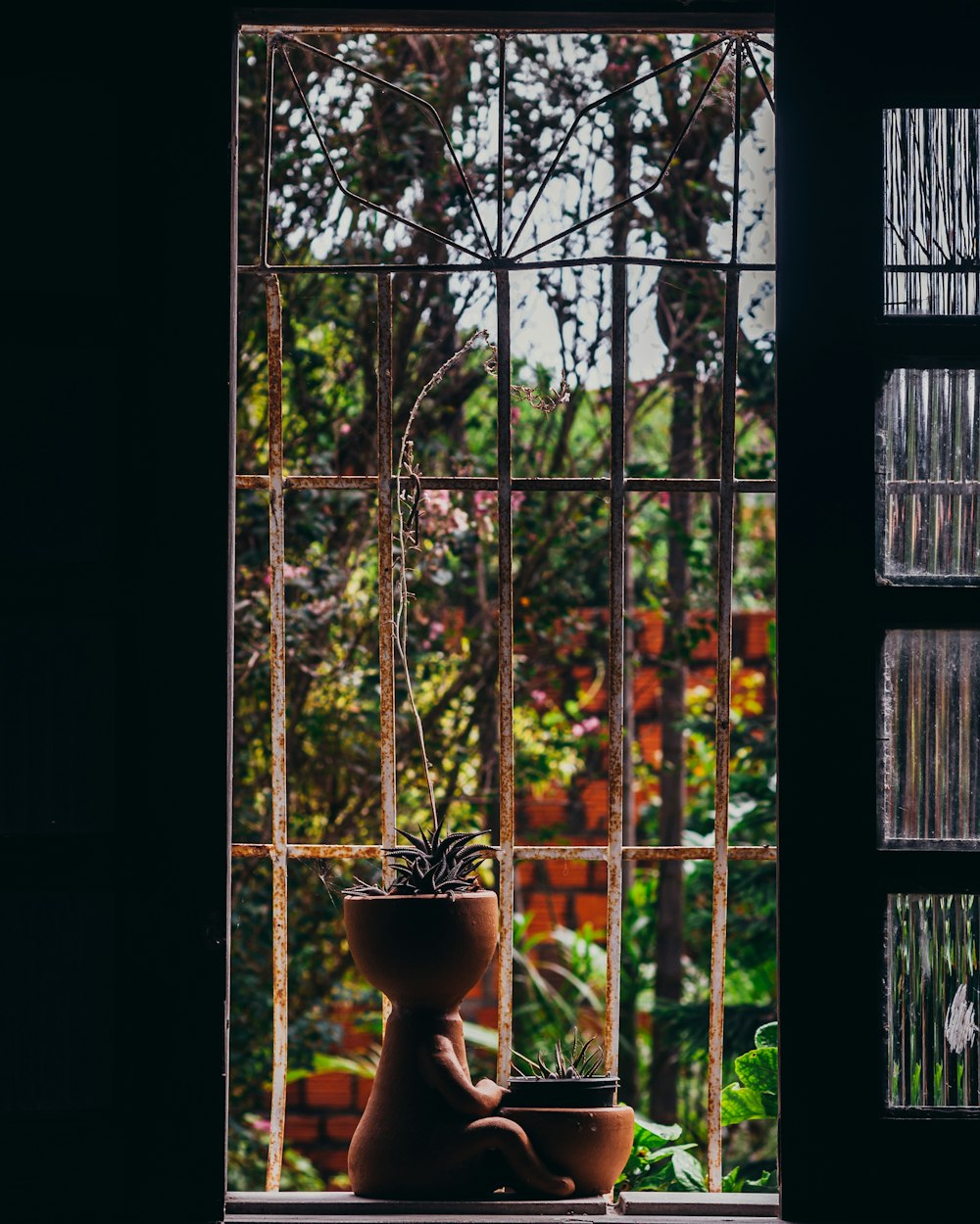 a potted plant sitting on top of a window sill