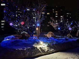 A snowy landscape is illuminated by colorful string lights wrapped around trees and bushes. The lights cast a warm, festive glow with bright blue, red, and gold hues. A small lantern positioned on the ground enhances the enchanting atmosphere. In the background, residential buildings add depth with their lit windows visible against the night sky.