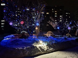 A family enjoying the vibrant light show from their front yard on a snowy evening.