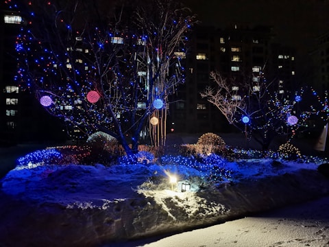 A beautifully lit winter landscape showcasing holiday lighting.