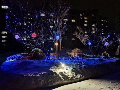 A snowy landscape is illuminated by colorful string lights wrapped around trees and bushes. The lights cast a warm, festive glow with bright blue, red, and gold hues. A small lantern positioned on the ground enhances the enchanting atmosphere. In the background, residential buildings add depth with their lit windows visible against the night sky.
