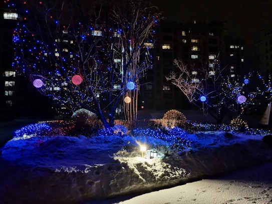 A snowy landscape is illuminated by colorful string lights wrapped around trees and bushes. The lights cast a warm, festive glow with bright blue, red, and gold hues. A small lantern positioned on the ground enhances the enchanting atmosphere. In the background, residential buildings add depth with their lit windows visible against the night sky.