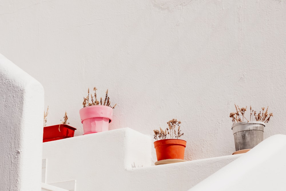 three potted plants are sitting on a shelf