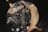 Two lobsters are sitting in a container with circular holes, displaying their dark, shiny shells and long antennae. The texture of the shells has a marbled pattern with hints of blue and white. The setting appears to be outdoors, possibly at a seafood market or catch location.
