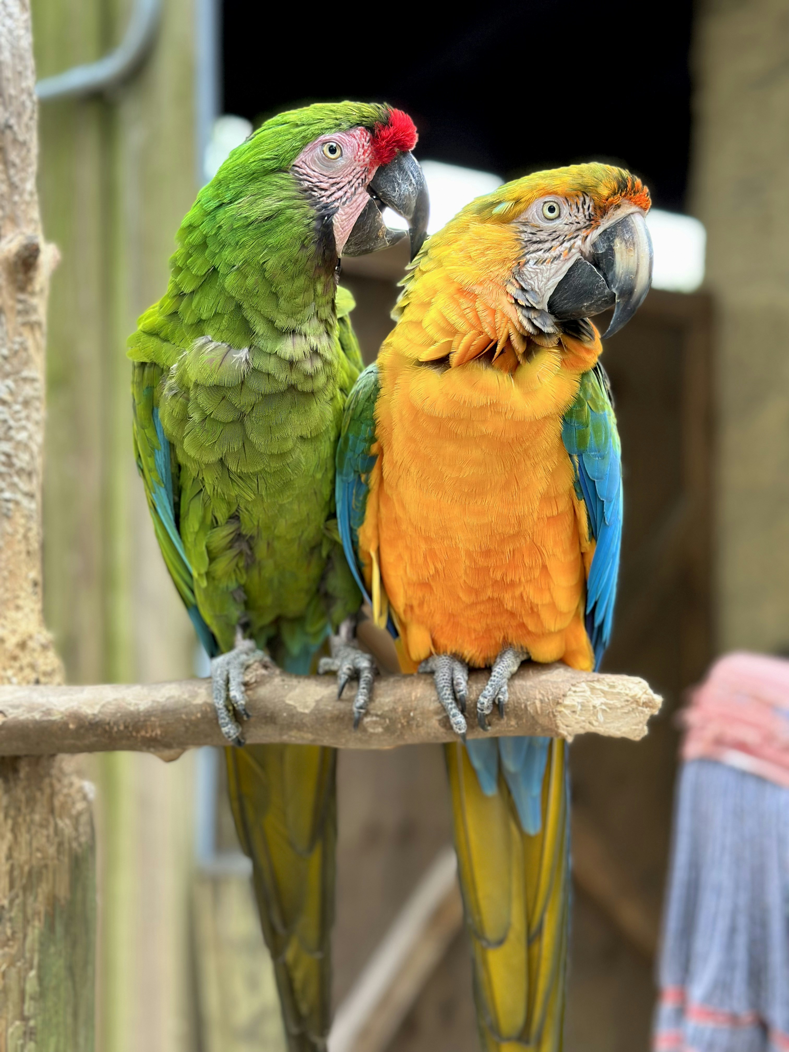 Photo by paiges_palms