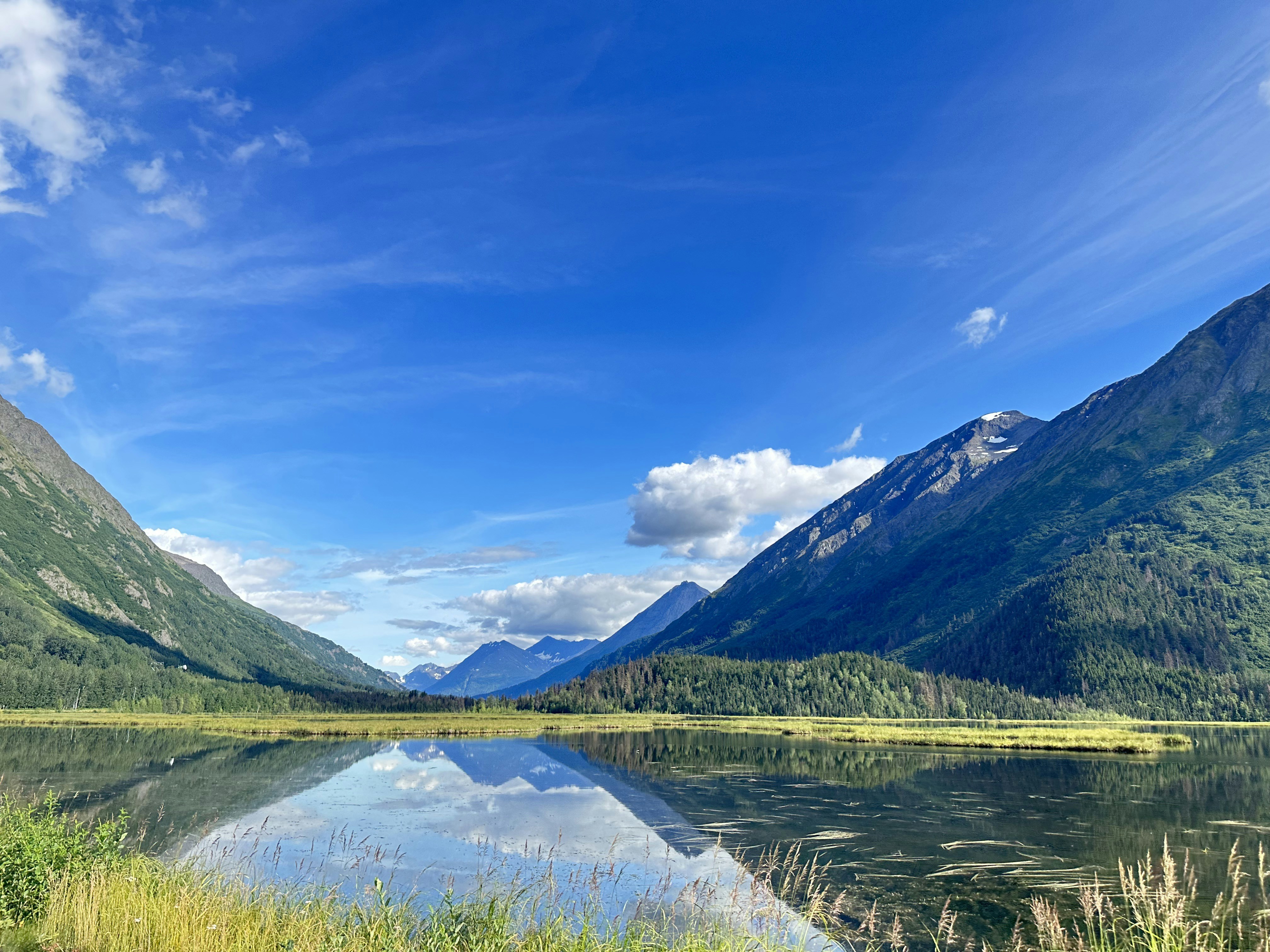 Photo by paiges_palms