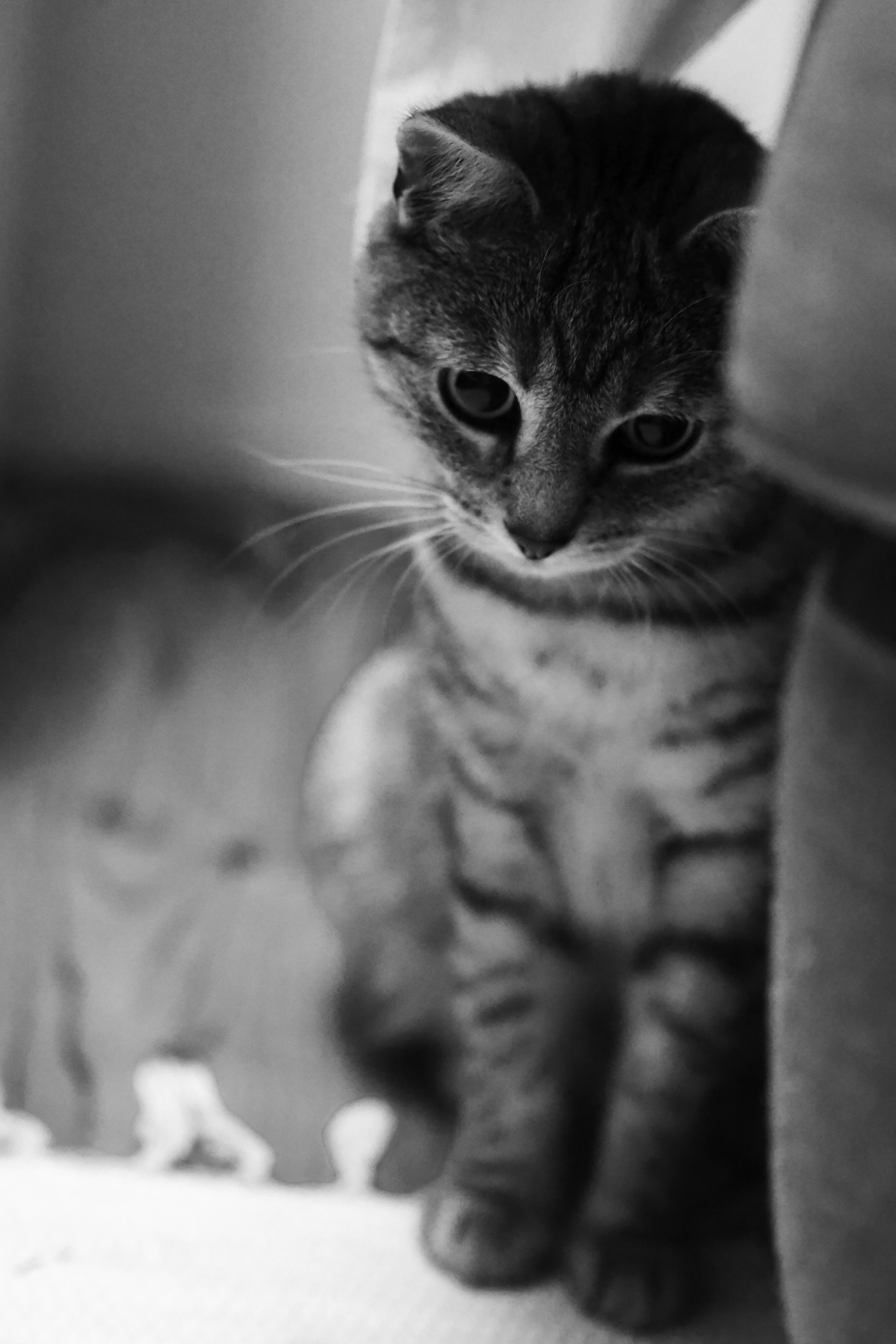 Photo by laurachouette