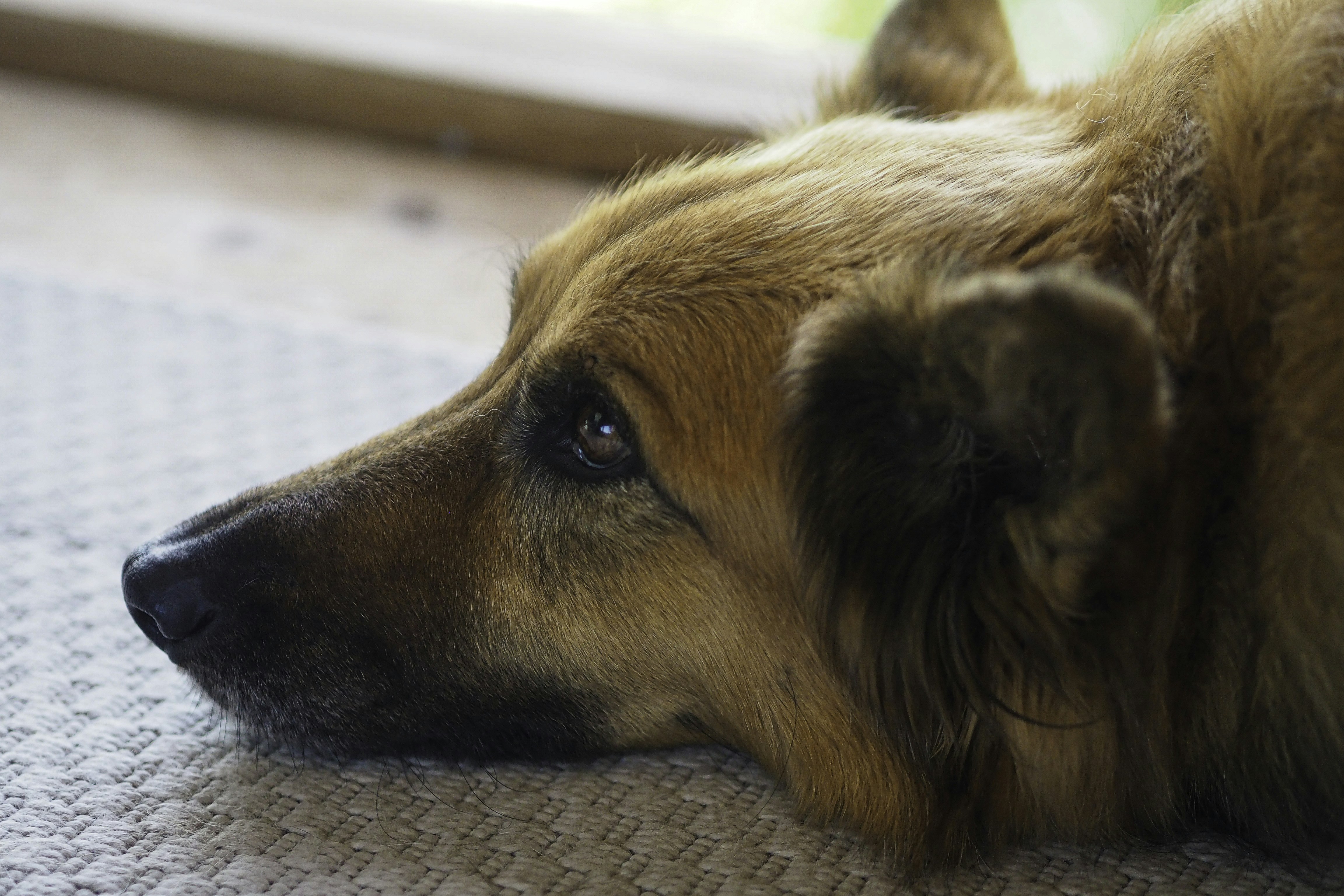 Photo by laurachouette