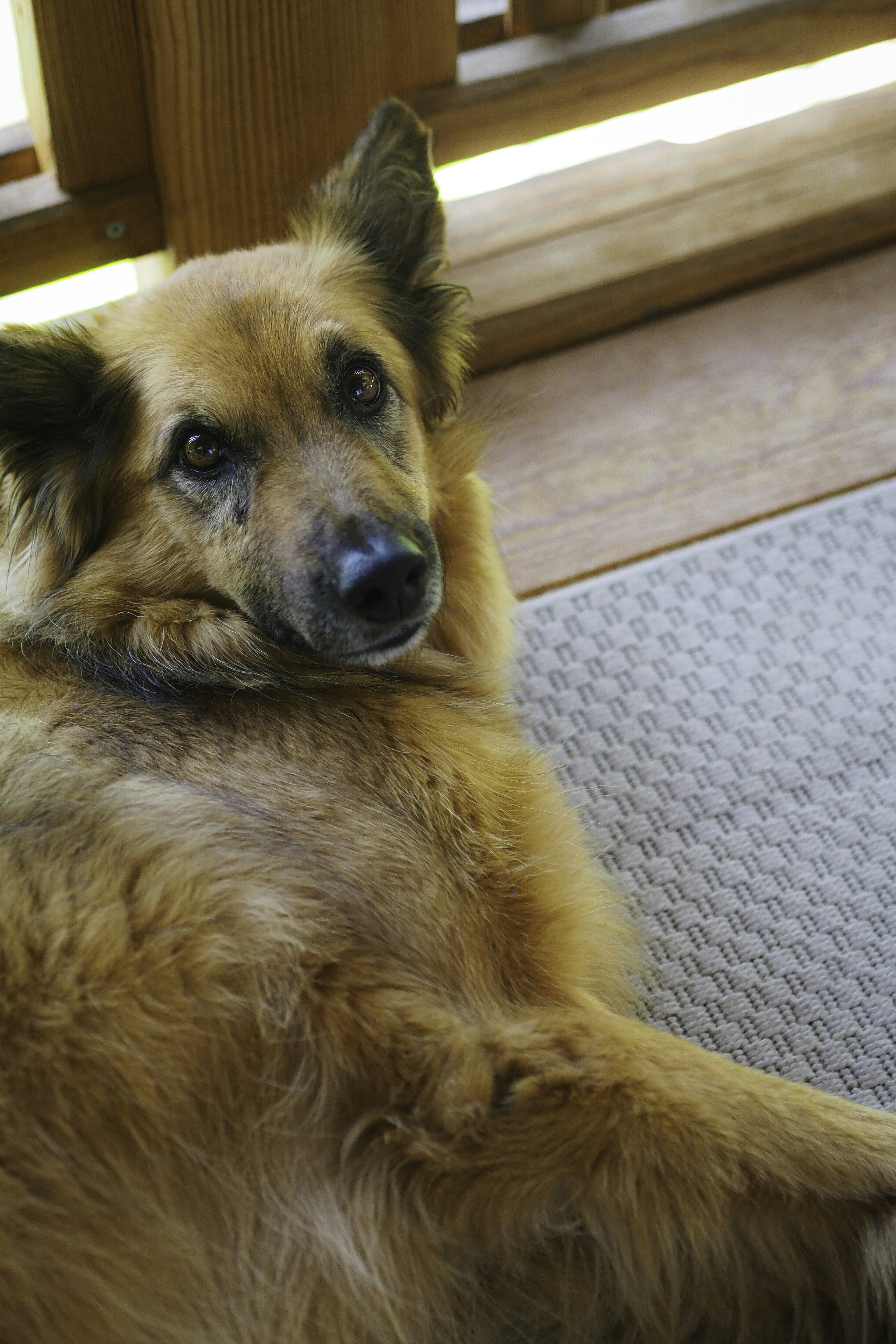 Photo by laurachouette