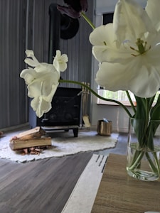 Eco-Friendly Heating Solutions