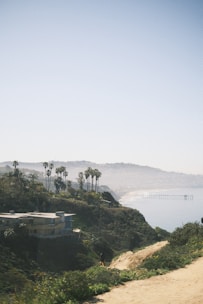 A coastal landscape featuring a hillside with lush greenery and tall palm trees. In the foreground, there is a modern house nestled into the hill. A path leads through the vegetation, with the ocean visible beyond. A long pier extends into the sea, and distant hills are enveloped in a slight haze.