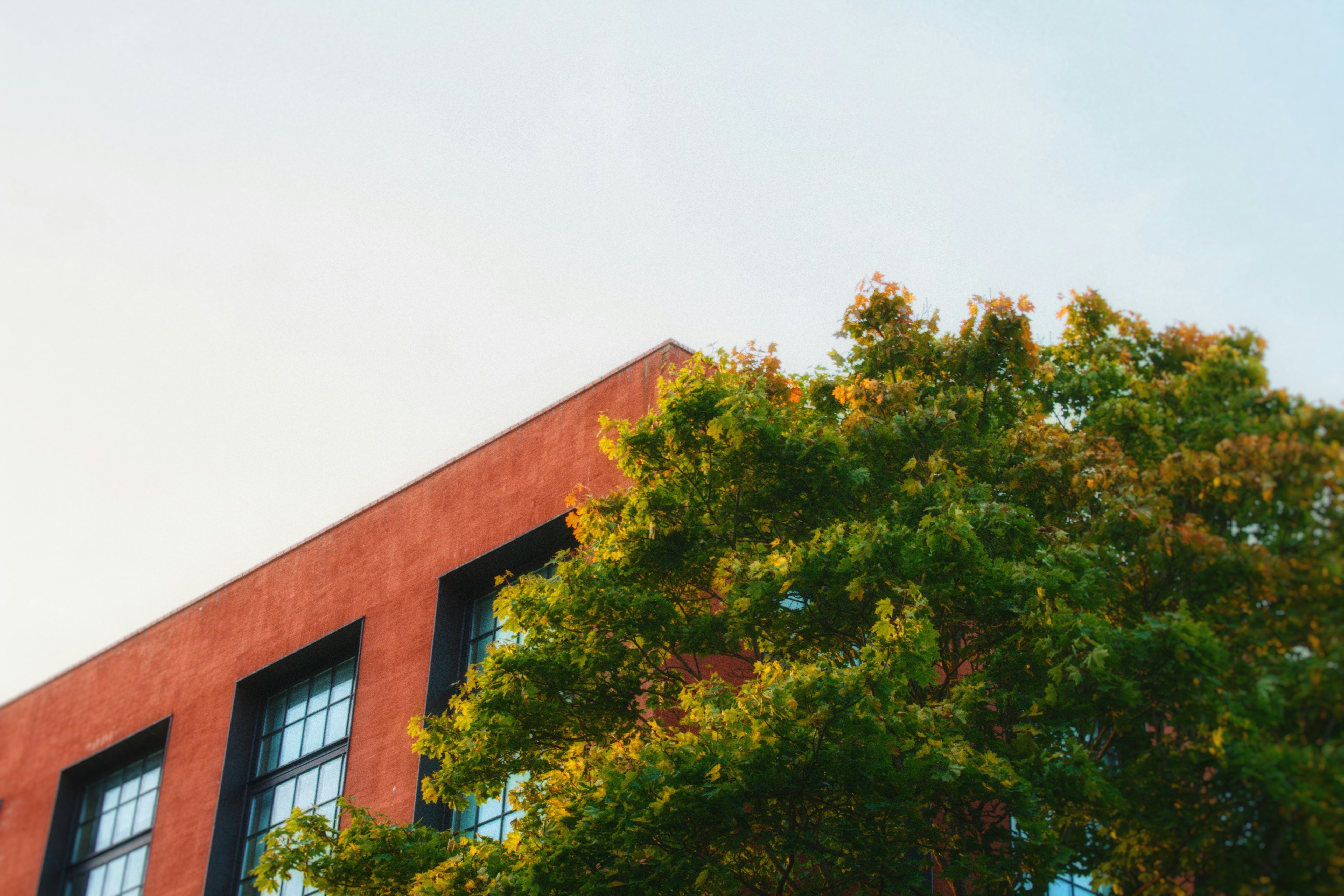 Photo by maximyuryshev