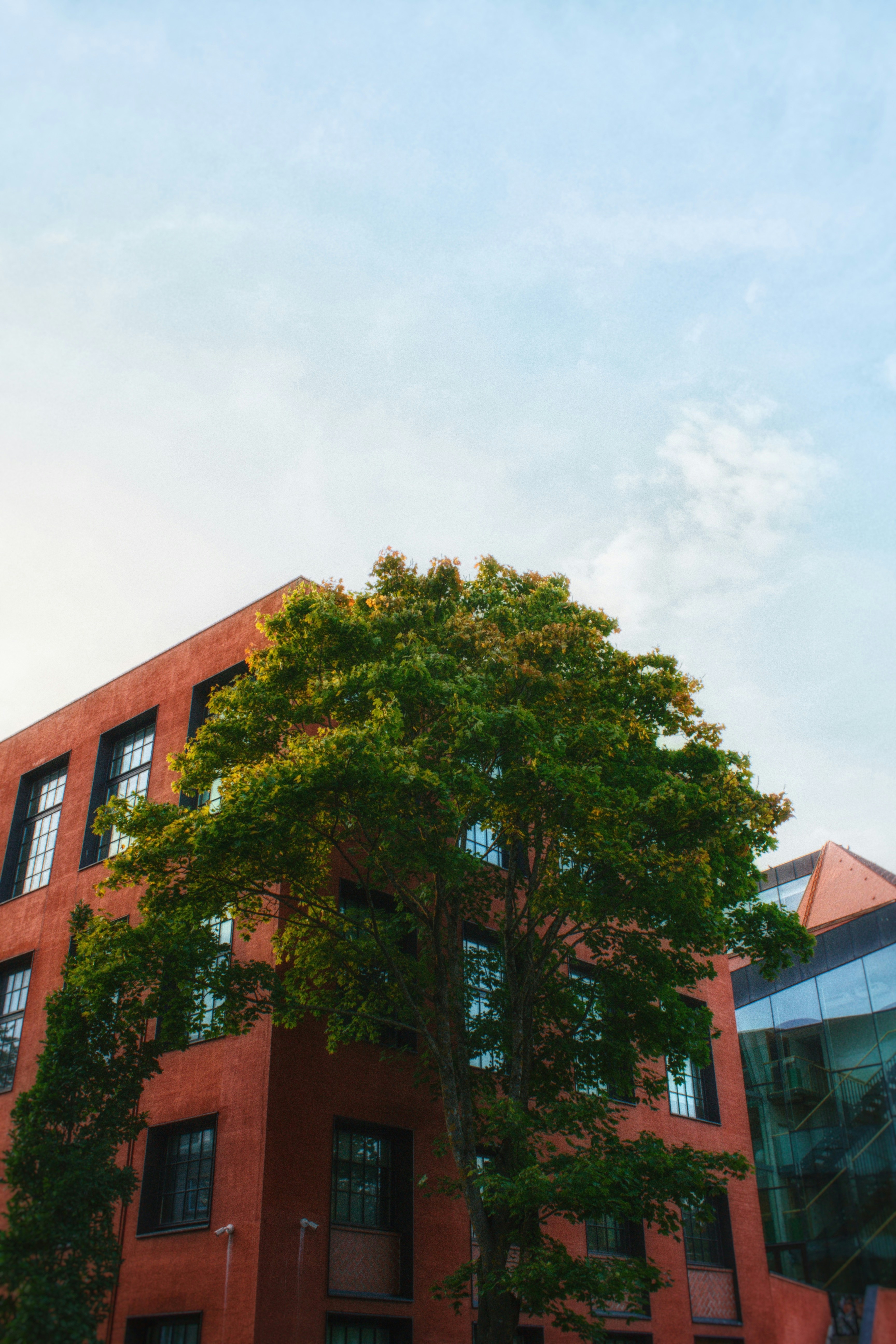 Photo by maximyuryshev