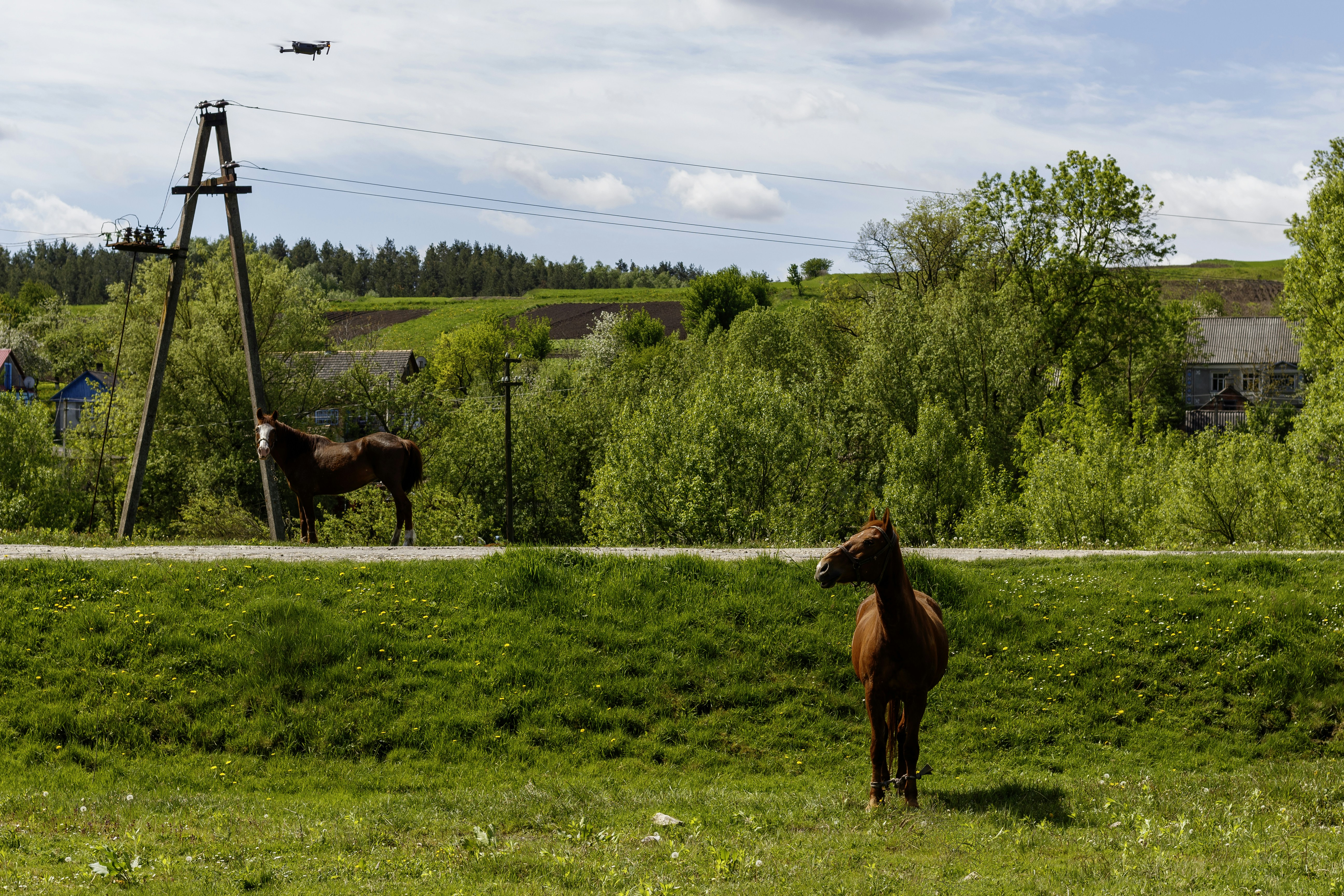 smart technology horses