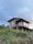 A wooden house on stilts is situated in a lush, green environment. The house has a simple structure and is elevated above the ground, supported by wooden poles. The surrounding area is filled with tall grass, vibrant orange flowers, and dense vegetation. The sky is overcast with a soft, moody light.