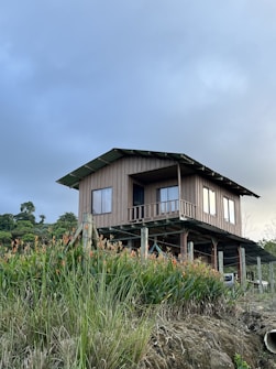 A wooden house on stilts is situated in a lush, green environment. The house has a simple structure and is elevated above the ground, supported by wooden poles. The surrounding area is filled with tall grass, vibrant orange flowers, and dense vegetation. The sky is overcast with a soft, moody light.