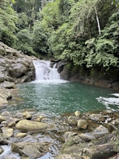 Clear water droplets falling into a serene blue pool surrounded by green foliage