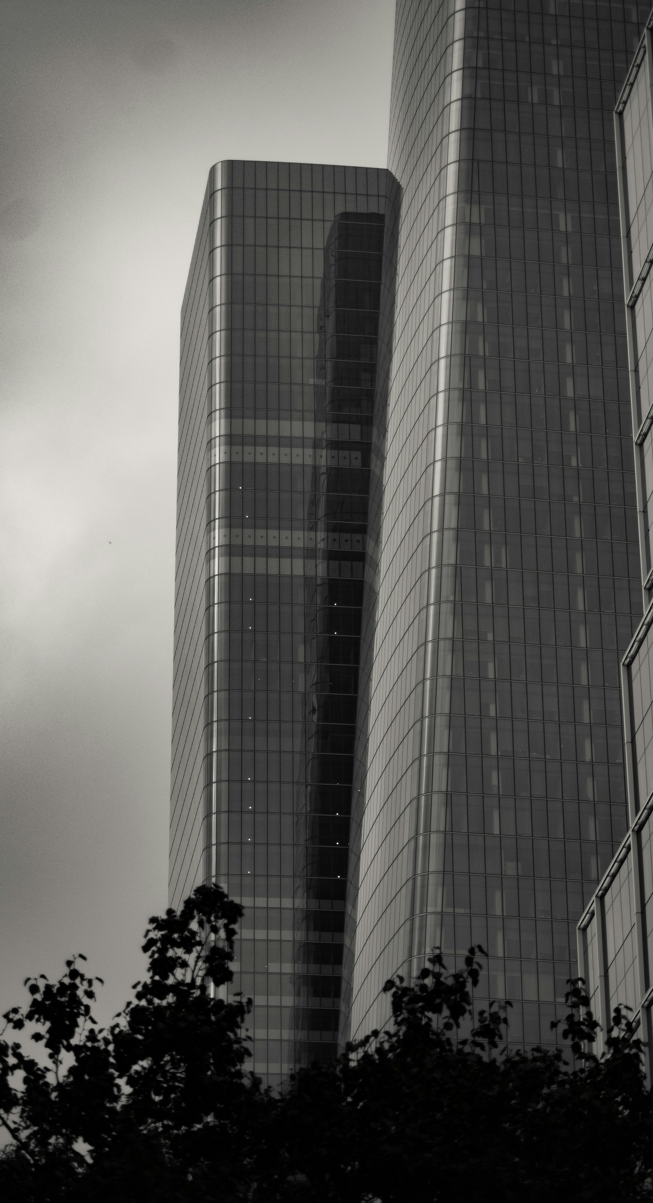 Photo by angelicateranp