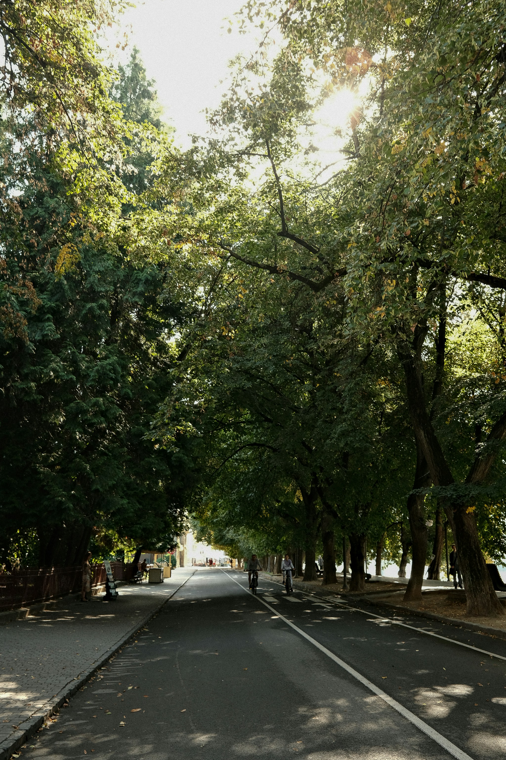 Photo by mashaoliynyk