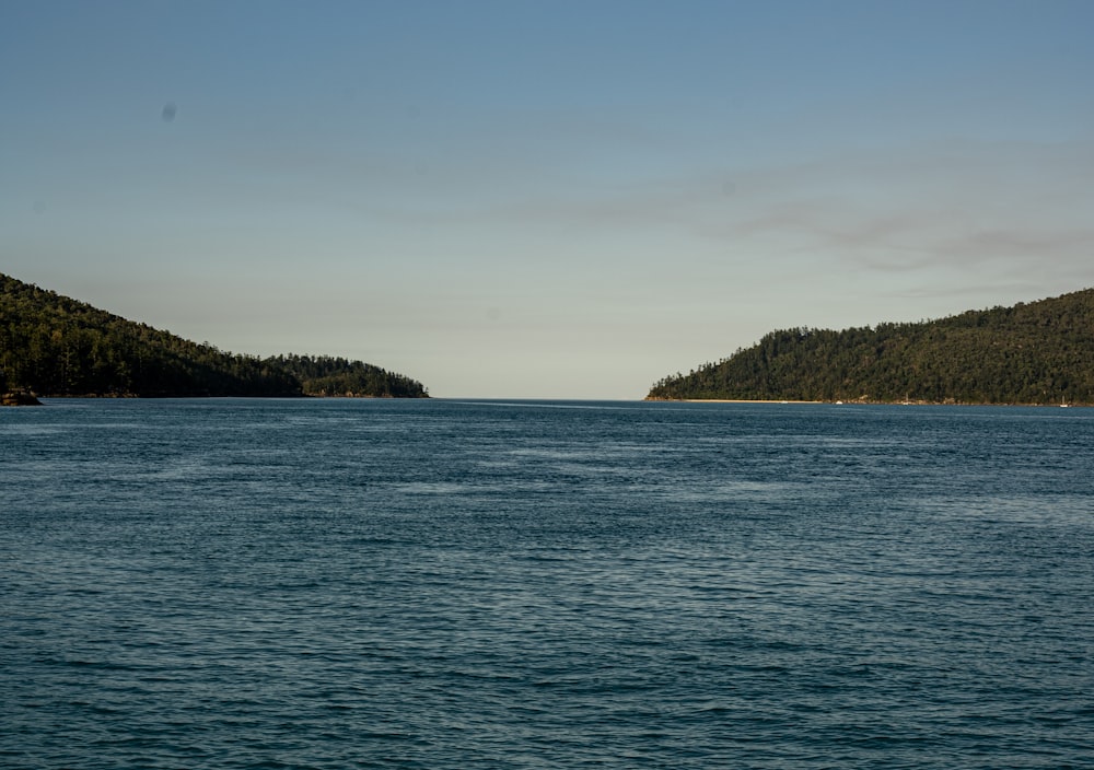 a large body of water surrounded by trees