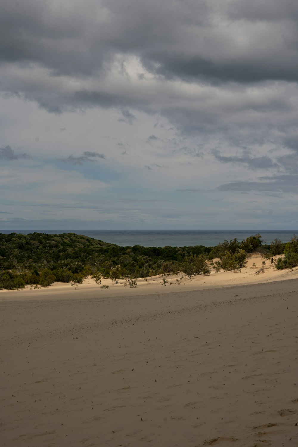 a person walking on a beach with a surfboard