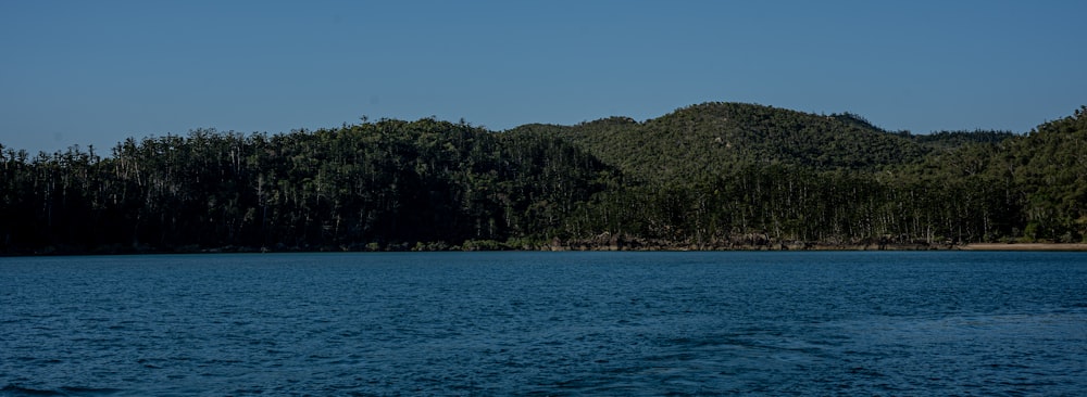 a body of water with trees in the background