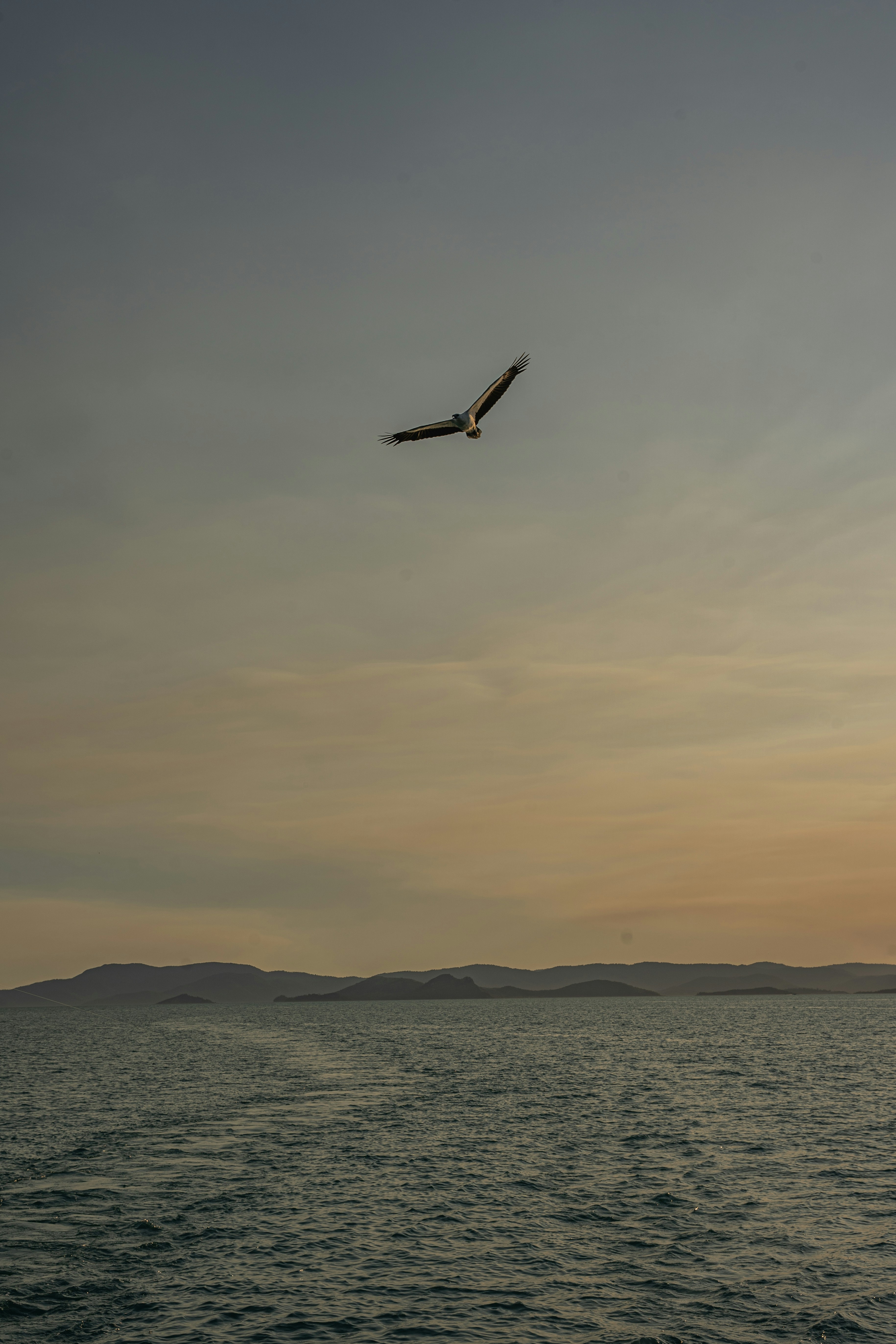 Photo by dariobroe