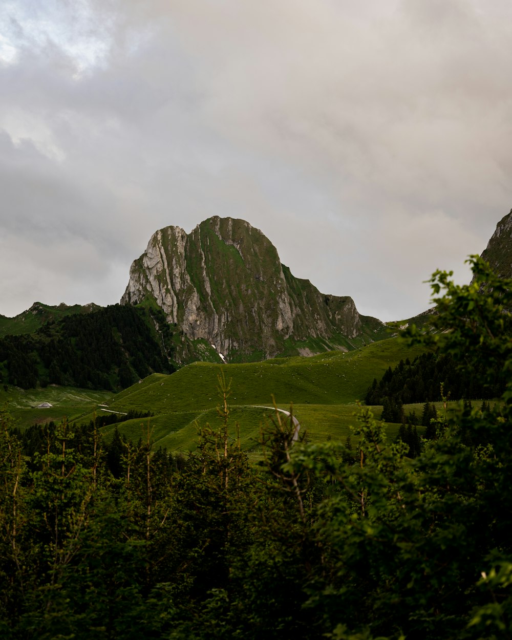 a mountain range with trees in the foreground