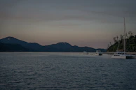 A peaceful bay area in Davao City with boats and lush tropical trees
