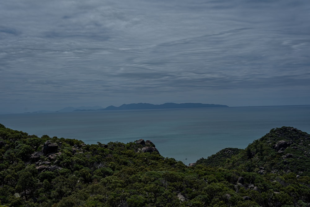 a view of the ocean from the top of a hill