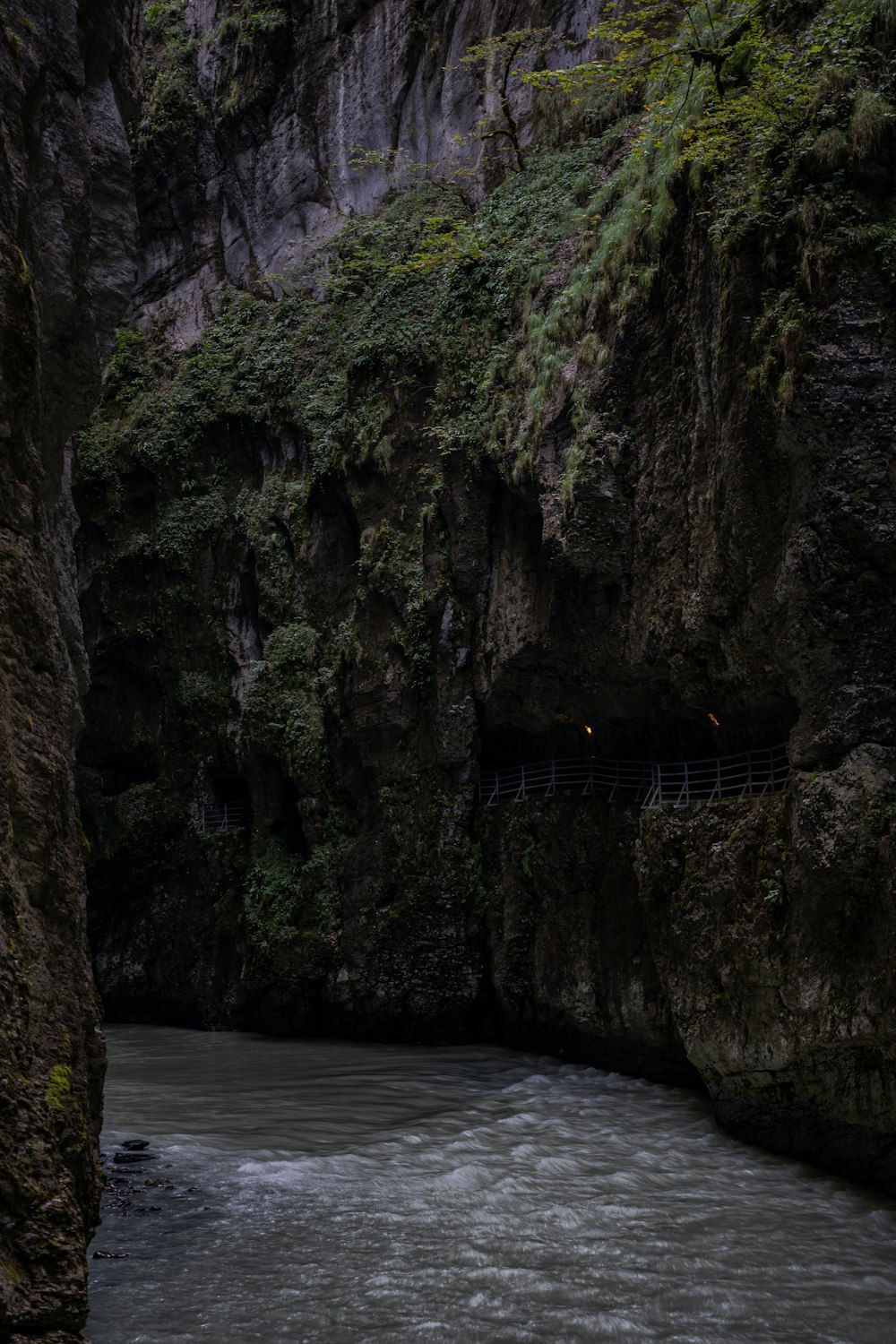 a river flowing through a lush green canyon