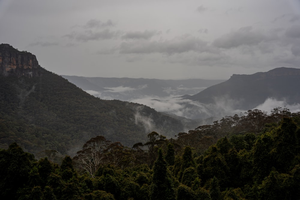 a view of a mountain range covered in clouds