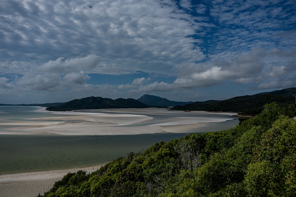 a large body of water sitting next to a lush green forest