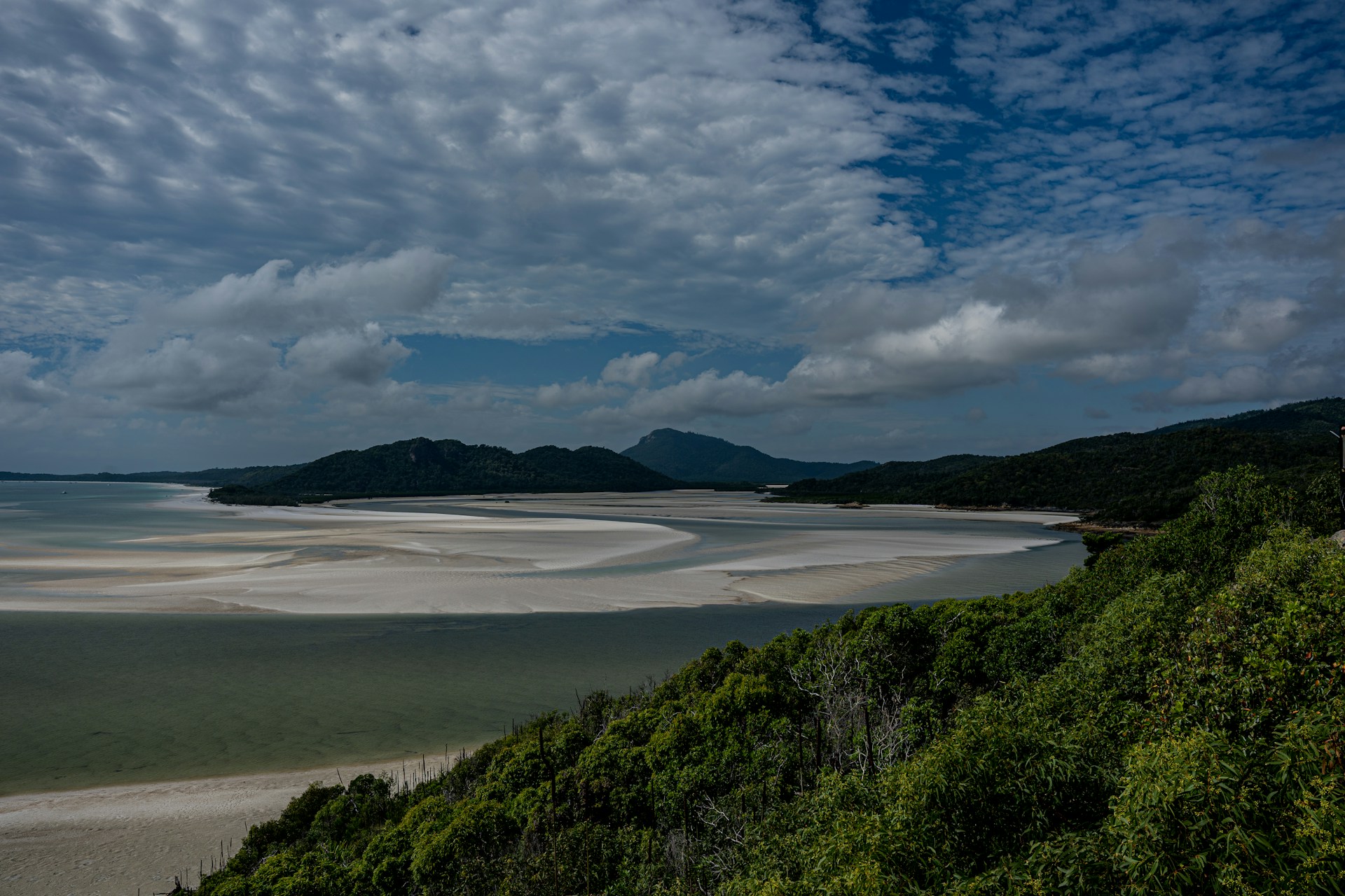 a large body of water sitting next to a lush green forest