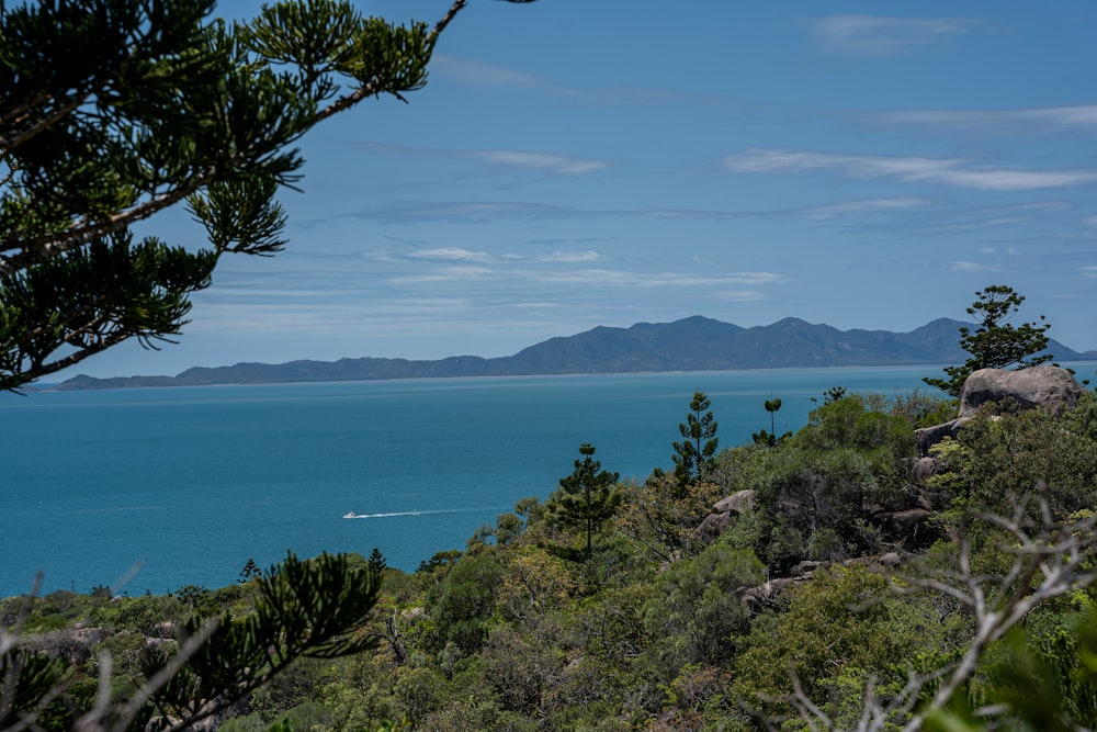 a view of the ocean from the top of a hill